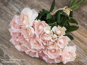 ROSE BR. ENGLISH MISS 50